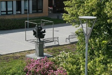 img37170.jpg