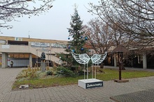 img37172.jpg