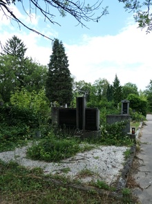 img37191.jpg
