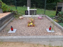 img37196.jpg
