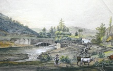 img37214.jpg