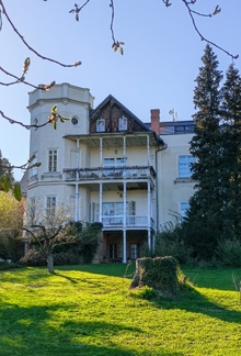 img37219.jpg