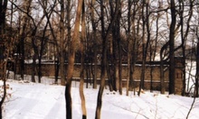 img37243.jpg
