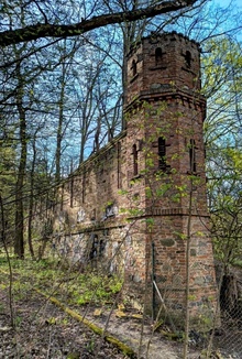 img37248.jpg