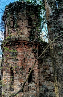 img37249.jpg