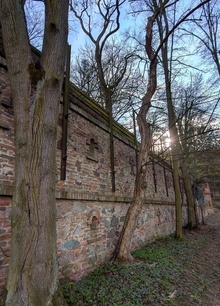 img37251.jpg