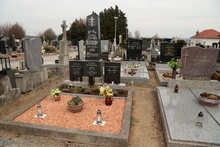 img37253.jpg