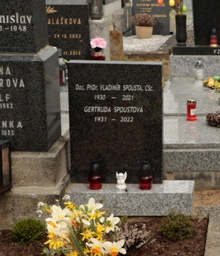 img37254.jpg