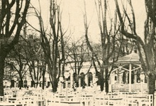 img37257.jpg