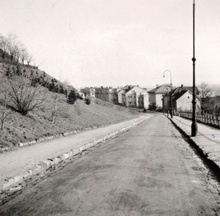 img37296.jpg