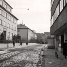 img37297.jpg