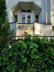img37306.jpg