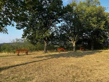 img37309.jpg