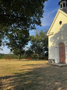 img37311.jpg