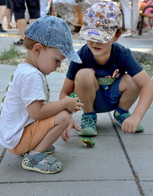 img37331.jpg