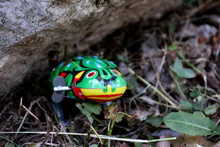 img37337.jpg