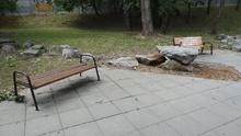 img37338.jpg