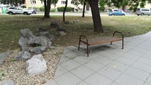 img37339.jpg
