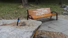 img37340.jpg