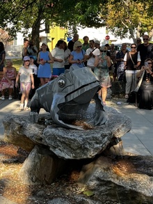 img37342.jpg