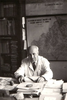 img37377.jpg
