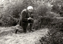 img37378.jpg