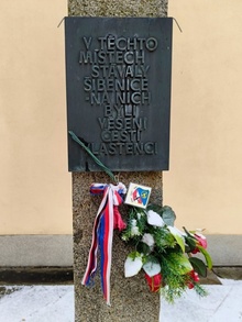 img37500.jpg