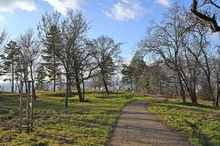img37531.jpg