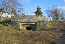 img37532.jpg