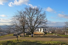 img37533.jpg