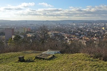 img37535.jpg