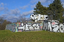 img37542.jpg