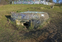 img37543.jpg