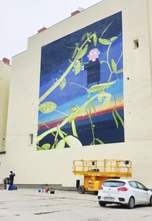 img37554.jpg