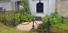 img37560.jpg