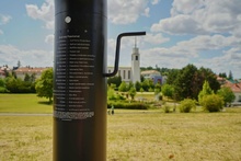 img37667.jpg