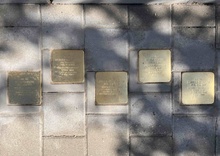 img37672.jpg