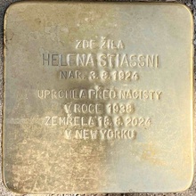 img37677.jpg