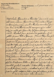 img37695.jpg
