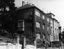 img37702.jpg