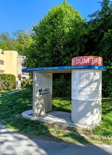 img37736.jpg
