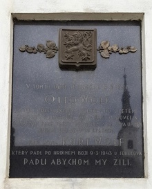img37745.jpg