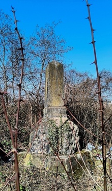 img37817.jpg