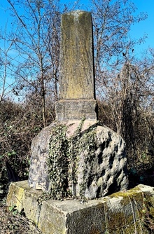 img37818.jpg