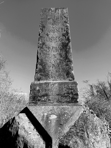 img37819.jpg