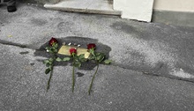 img37831.jpg