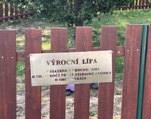 img37839.jpg