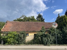 img37842.jpg