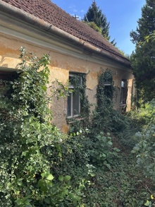 img37843.jpg