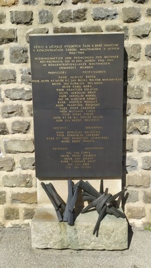 img37847.jpg